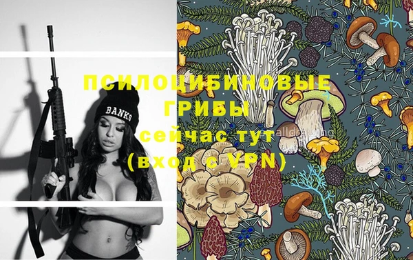дмт Бронницы